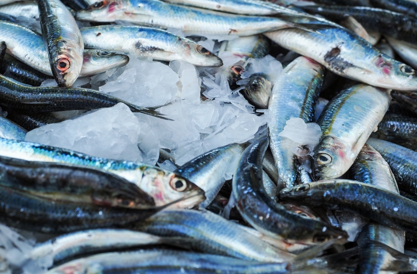 Ukraine is approaching full membership in the General Fisheries Commission for the Mediterranean