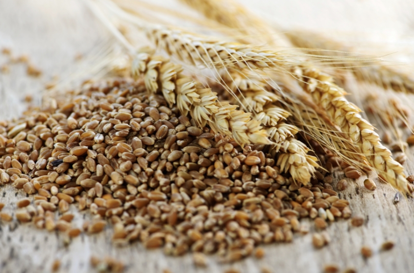 Ukraine increased its agricultural exports by 15%, primarily driven by grain shipments