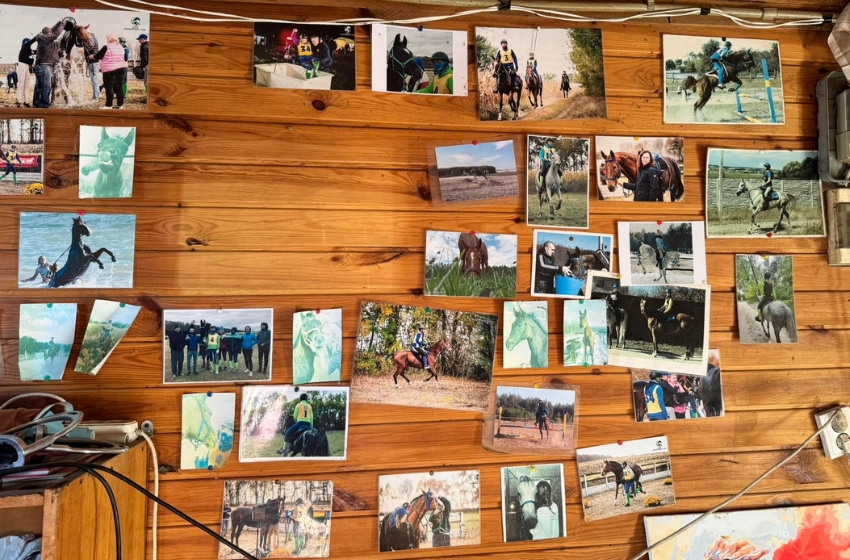 Drone strike on Kyiv region equestrian club kills seven animals