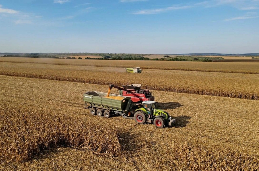 NIBULON transported over 40,000 tons of partners’ grain to the company’s elevators and ports