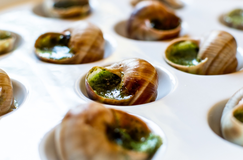 Ukraine Earns $5.5M from Escargot Exports