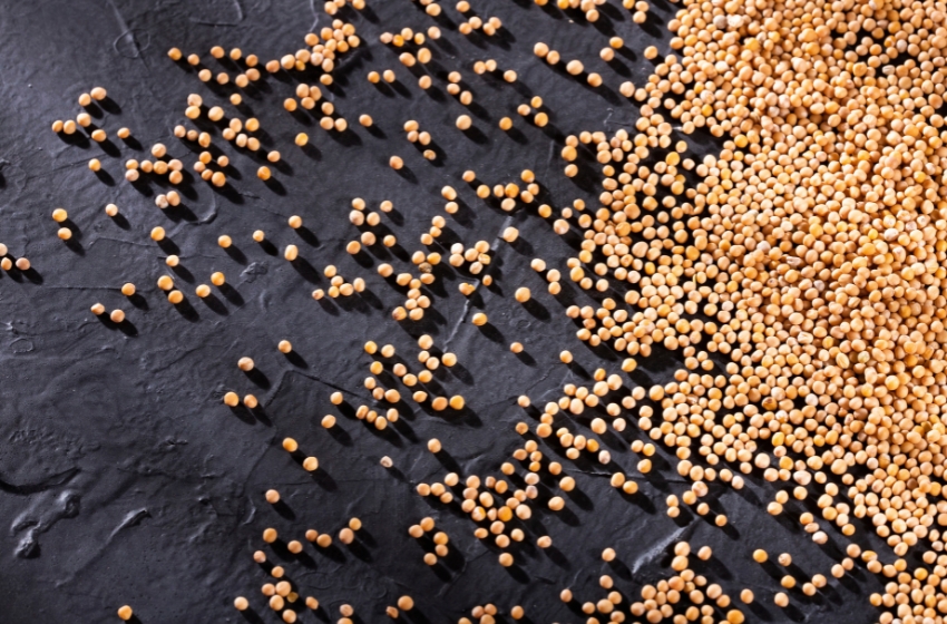 Shipments of Ukrainian mustard to the EU have fallen by 50%