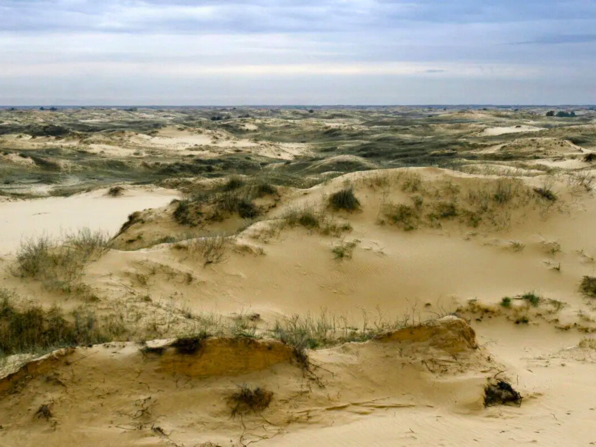 Southern Ukraine on the verge of desertification