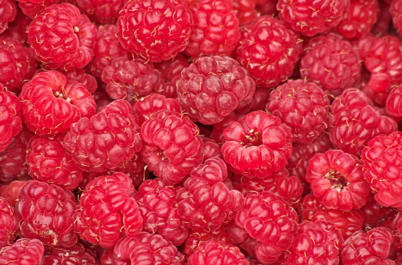 Ukraine to remain Europe’s Largest raspberry exporter for second consecutive year