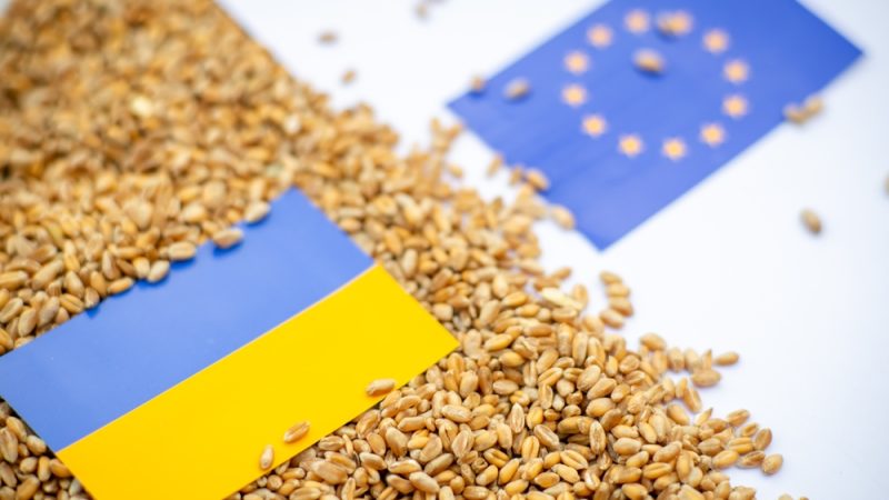 New quotas will reduce Ukrainian wheat exports to the EU by $900 million