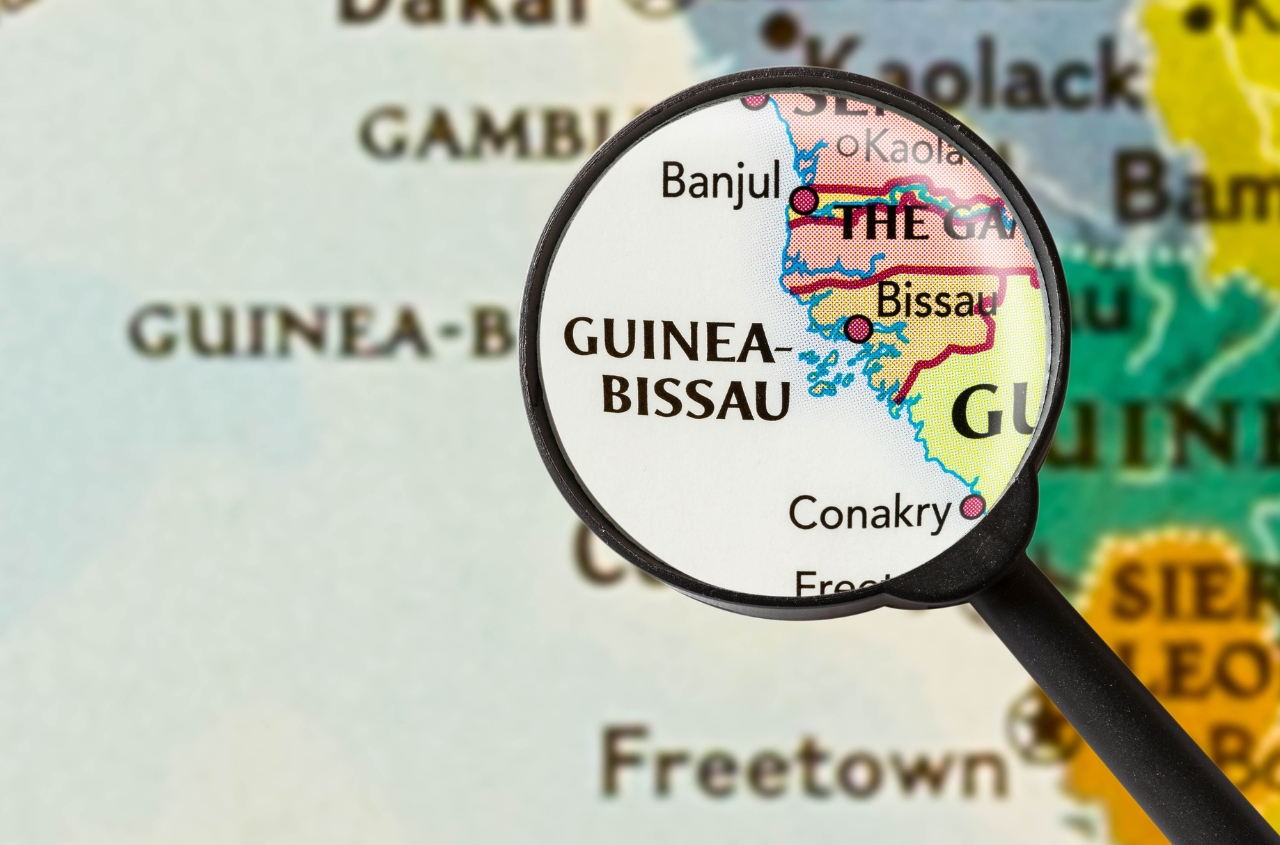 RLI: The coup d’état in Guinea-Bissau is creating space for Russian influence