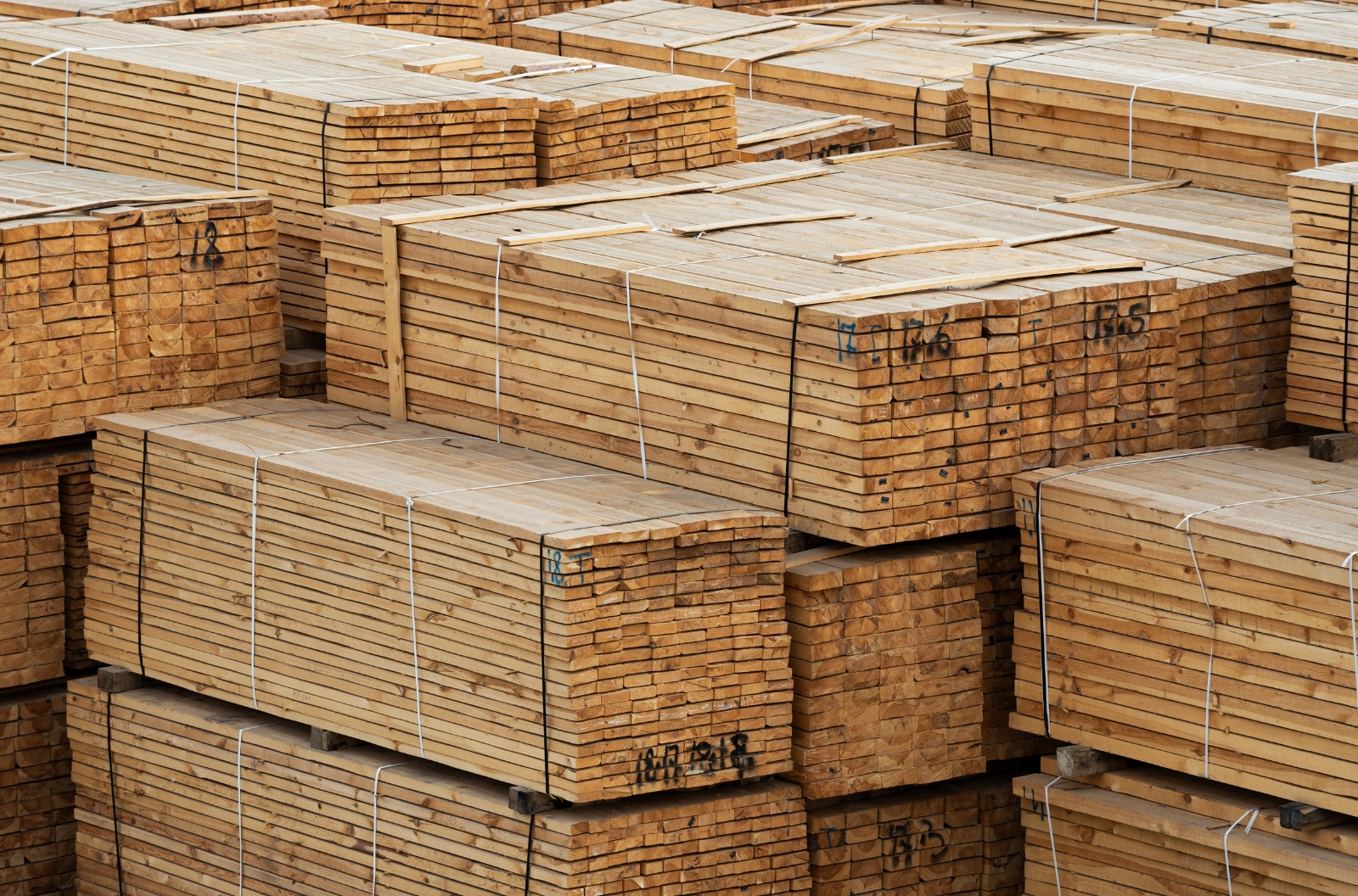 Foreign Intelligence Service: Sanctions are cutting down Russia’s timber industry