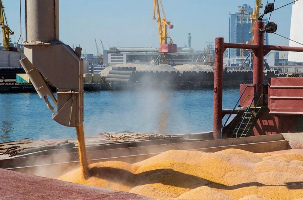 Ukraine will increase exports of grains and oilseeds to 49 million tons