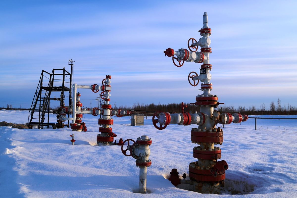 Three individuals divide Russia’s arctic reserves of rare earths, oil, and gas