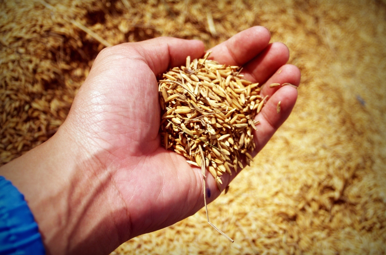 Ukraine has exported more than 14 million tonnes of grain since the start of the marketing year