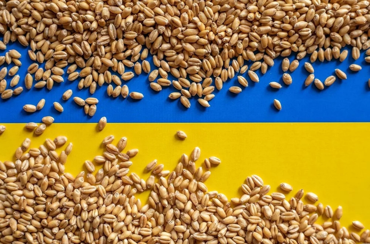 Ukraine calls for systematic sanctions against Russia’s shadow grain fleet