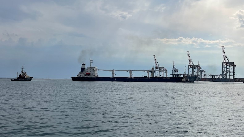 100 million tons of grain have been transported through the Ukrainian maritime corridor