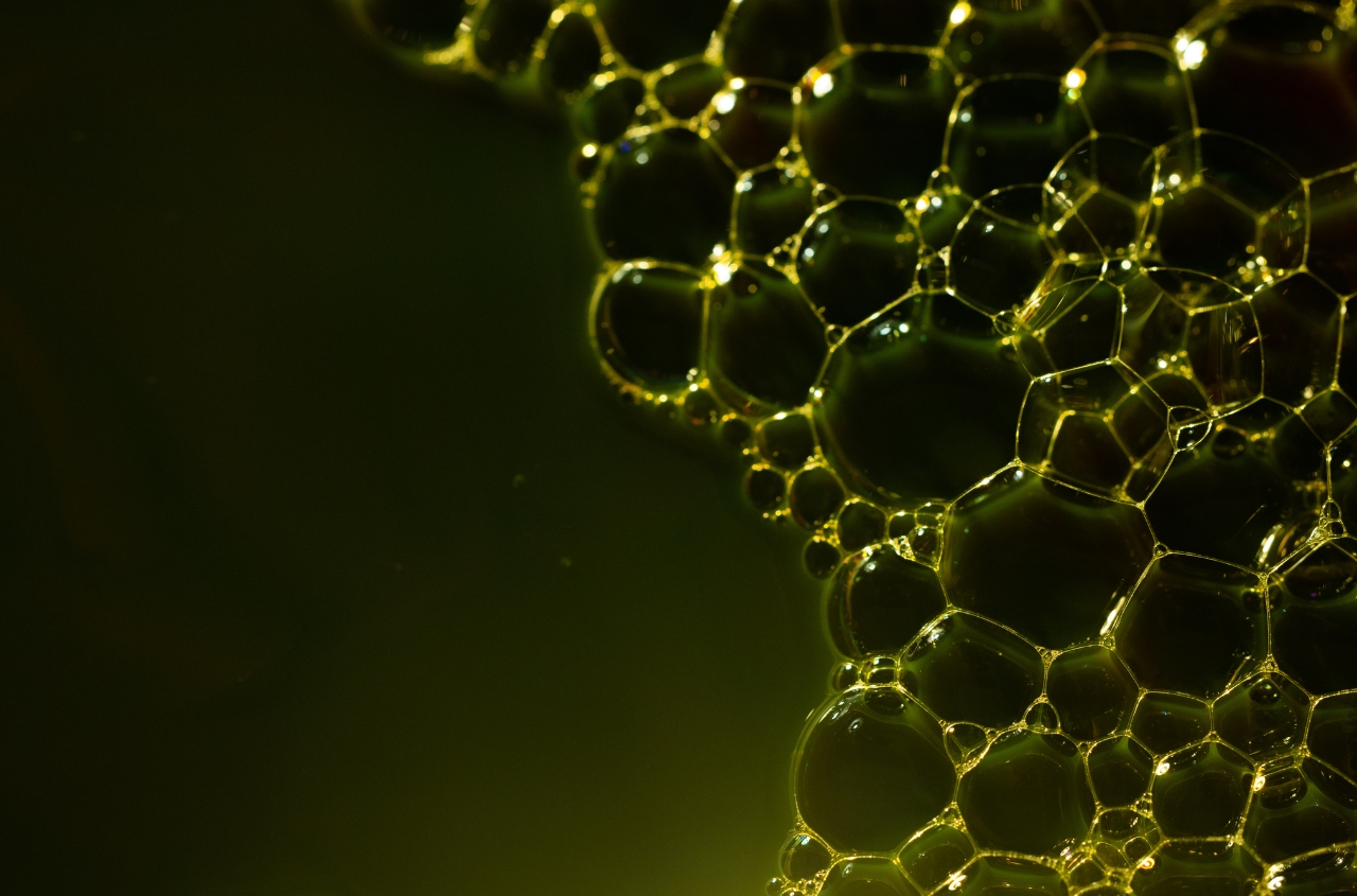 Ukraine has increased its bioethanol exports, with nearly 60% being purchased by Lithuania