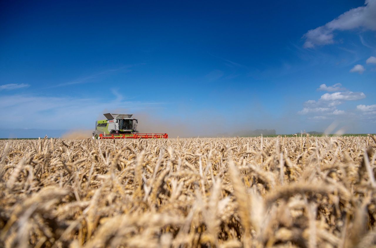 Ukraine’s agricultural sector will require $55 billion for post-war recovery