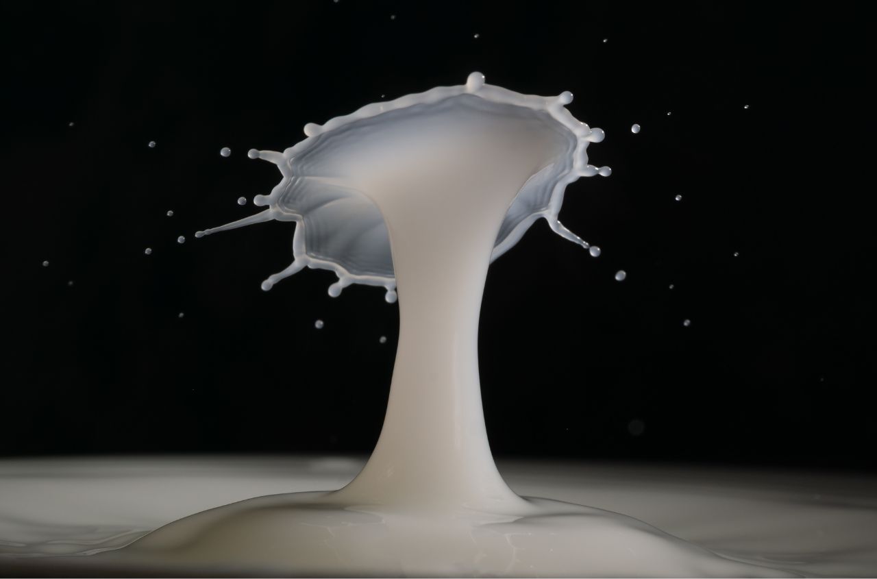 Ukraine’s dairy sector is on the verge of losing 20% of its industrial production
