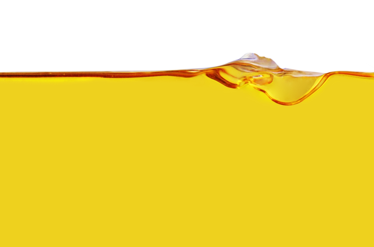 Hanse Agri Ukraine to build grain elevator and oilseed processing plant in Lviv region