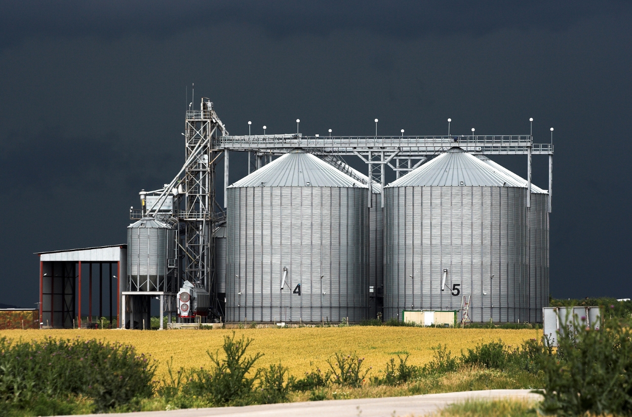 Grain stocks in Ukraine increase sharply compared to last year