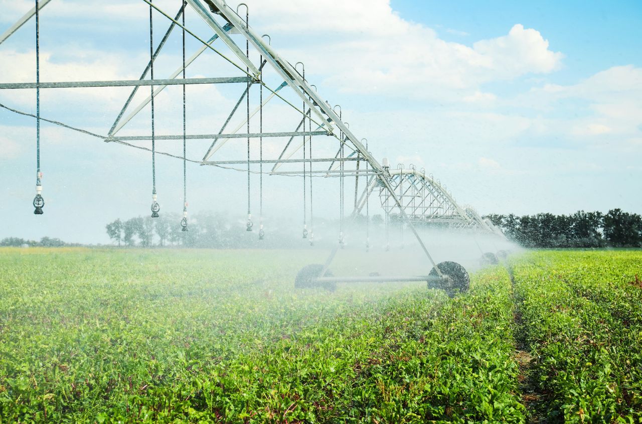 Odessa and Zhytomyr selected for Ukraine reclamation system pilot reform
