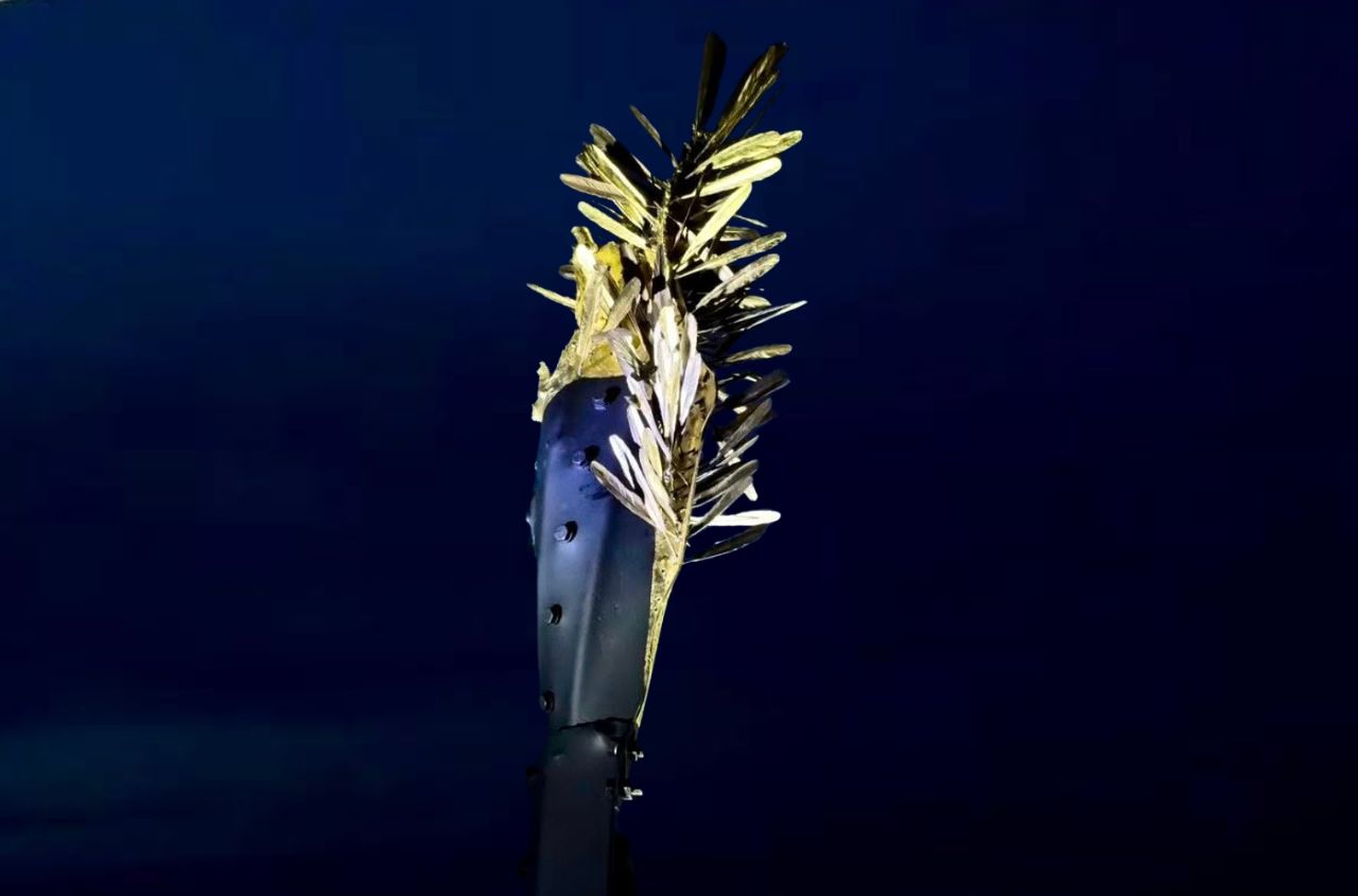 Mykhailo Reva unveils 'Phoenix' in Odessa