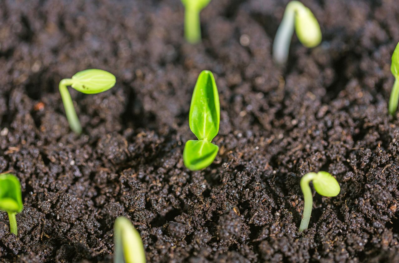 Ukraine advances EU agriculture integration reforms and market access