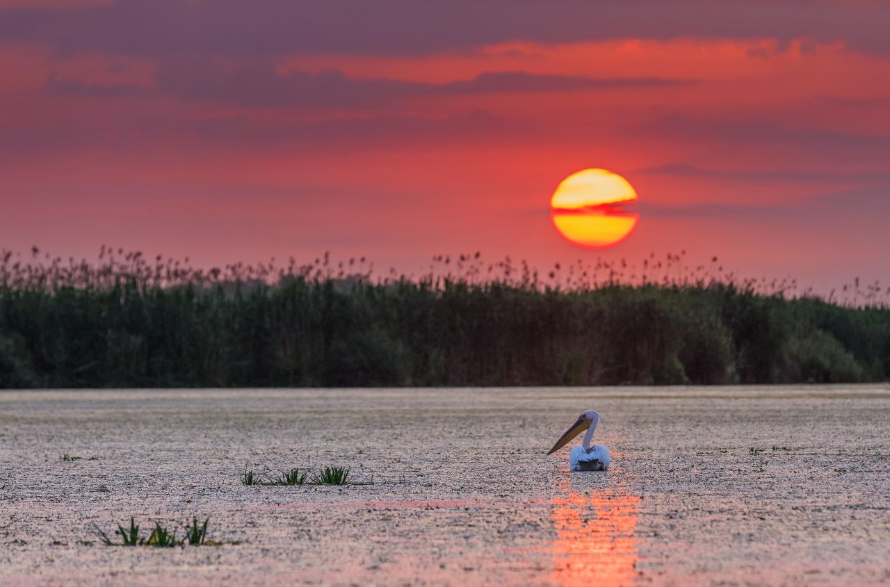 Ukraine has joined the European Environment Agency and the Eionet network