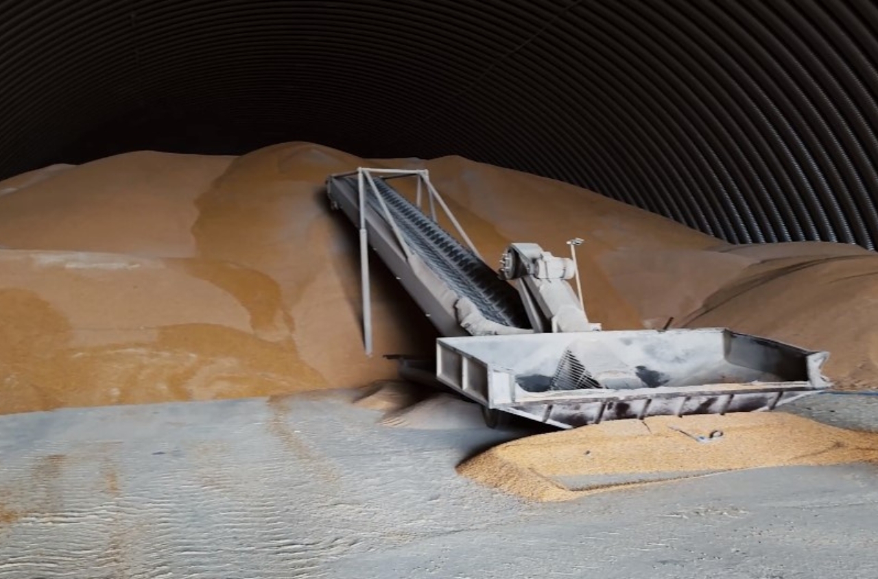 Ukraine grain exports reach 36.9 million tonnes in 2025/26 marketing year