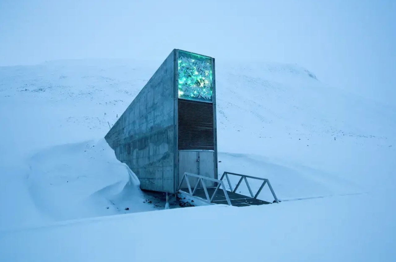 Ukraine will send 1,000 seed samples to the global seed vault