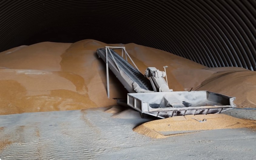 Logistics problems cut Ukraine’s grain exports to just 20% of potential