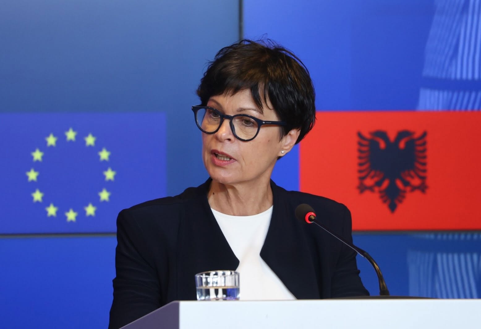 Marta Kos: Ukraine to join EU agricultural policy under special terms