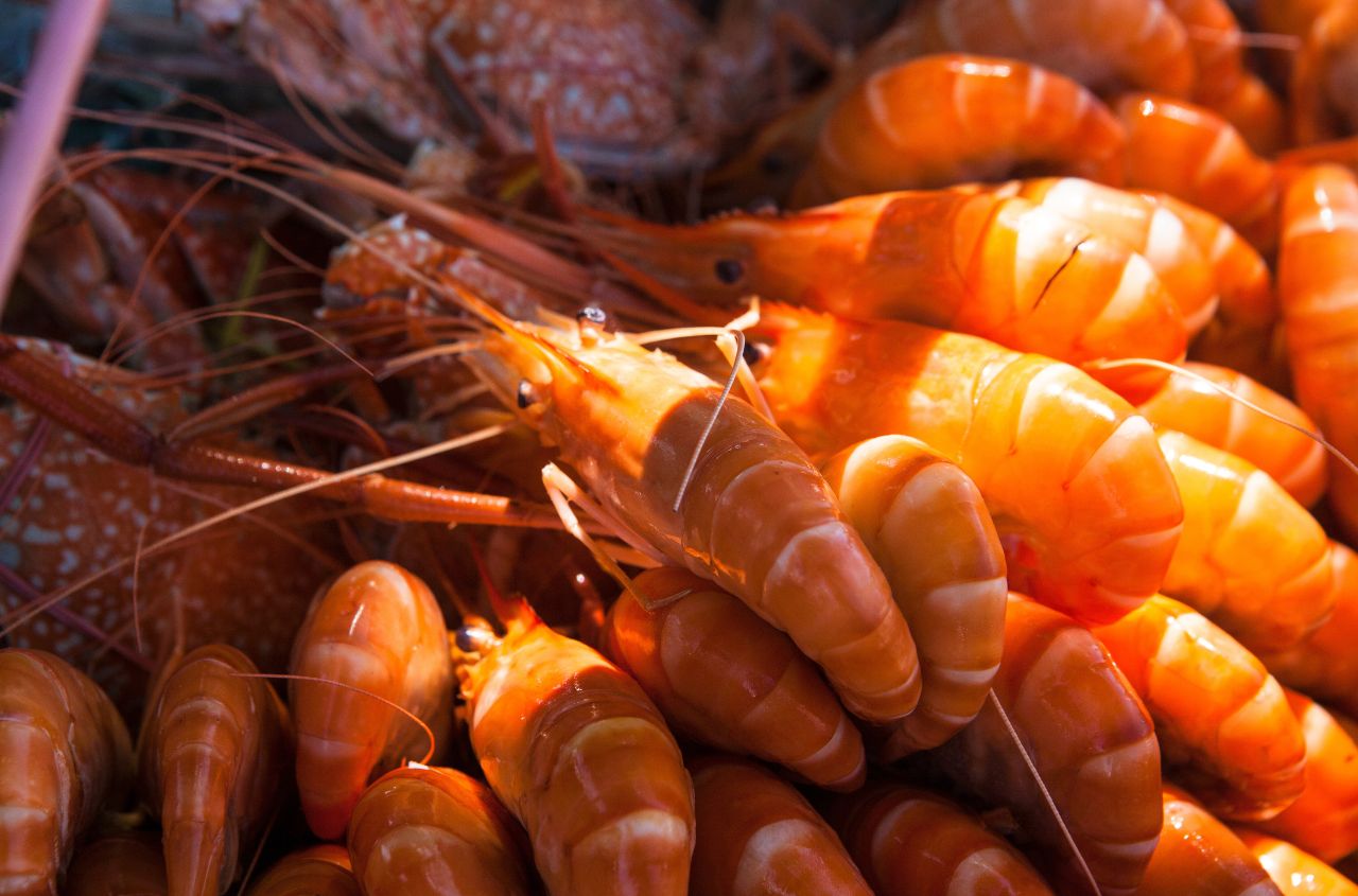 New fisheries law opens Ukraine's aquaculture sector to private investors