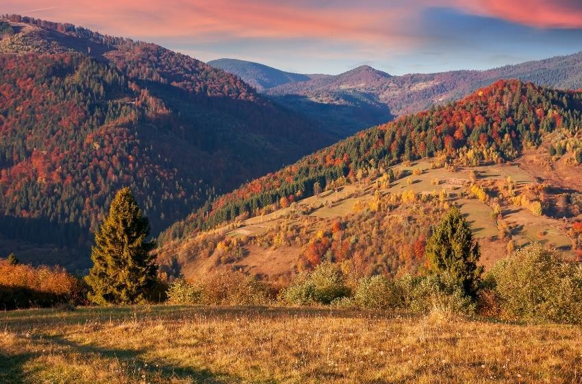 137 hectares of land in Zakarpattia region to be included in nature conservation territories of Ukraine