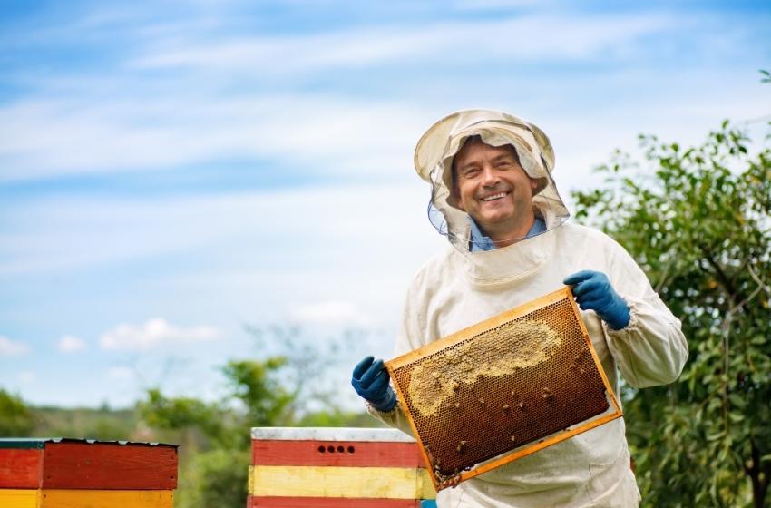 The honey brewery from Brovary became the silver medalist of the International Beekeeping Congress