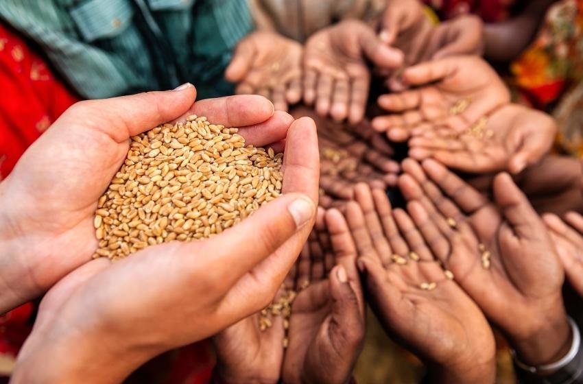 Ukraine will give tons of grain to starving African countries for free