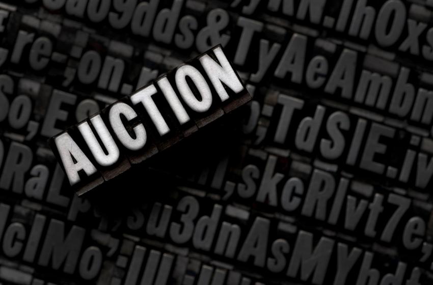 State Property Fund prepared the first privatization auctions for 2023