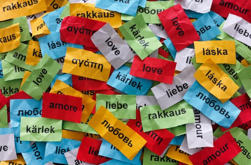 Survey: Almost a third of Ukrainians do not know any foreign language