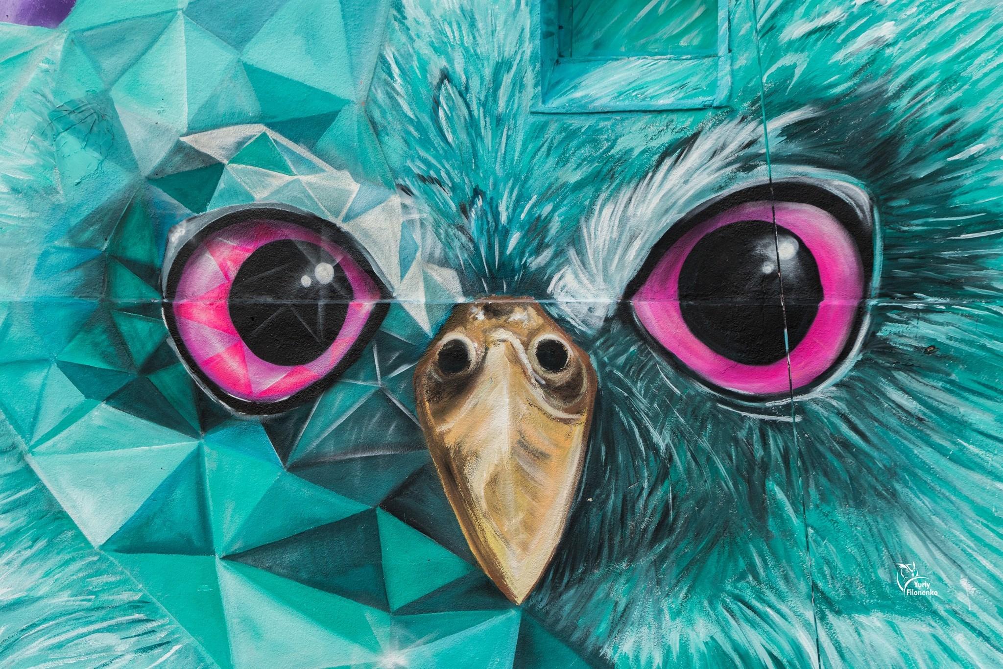 Mural: Azure owl