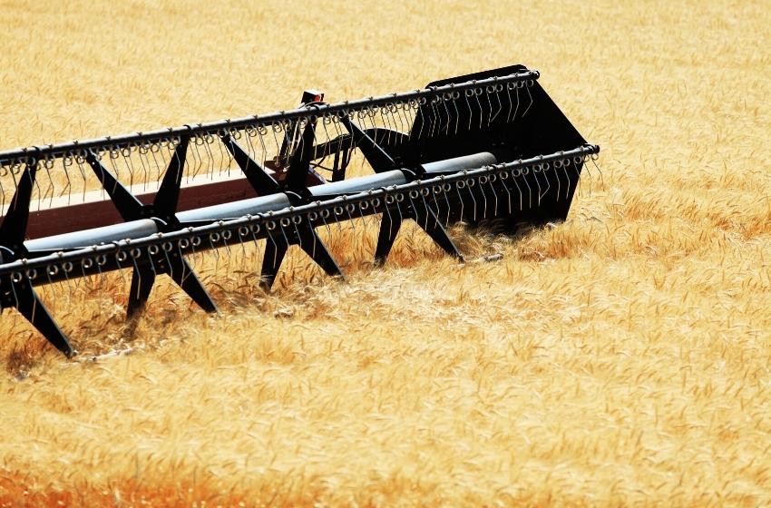 Odessa region threshed the second million tons of grain (especially wheat and barley)