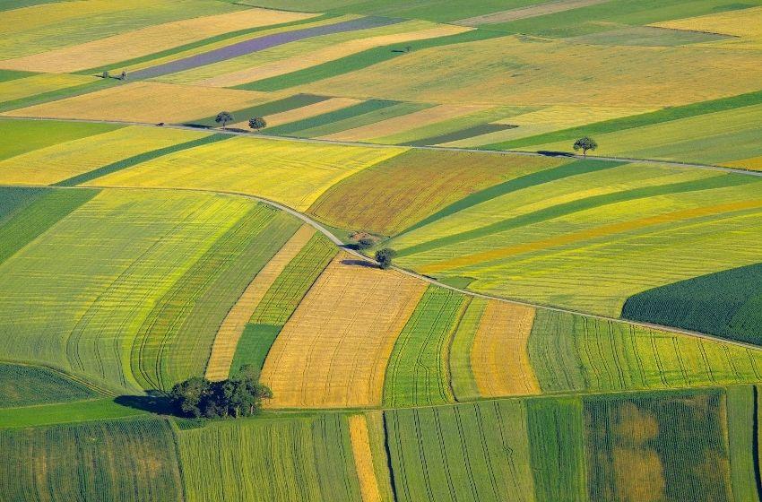 Over 10,000 hectars of farmlands sold in Ukraine since market opening
