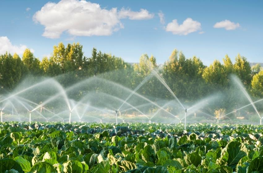 Israel is interested in the development of irrigation project in the South of Ukraine