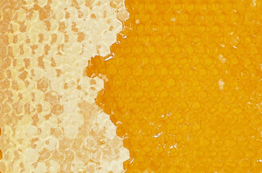 TOP-3 buyers of Ukrainian honey