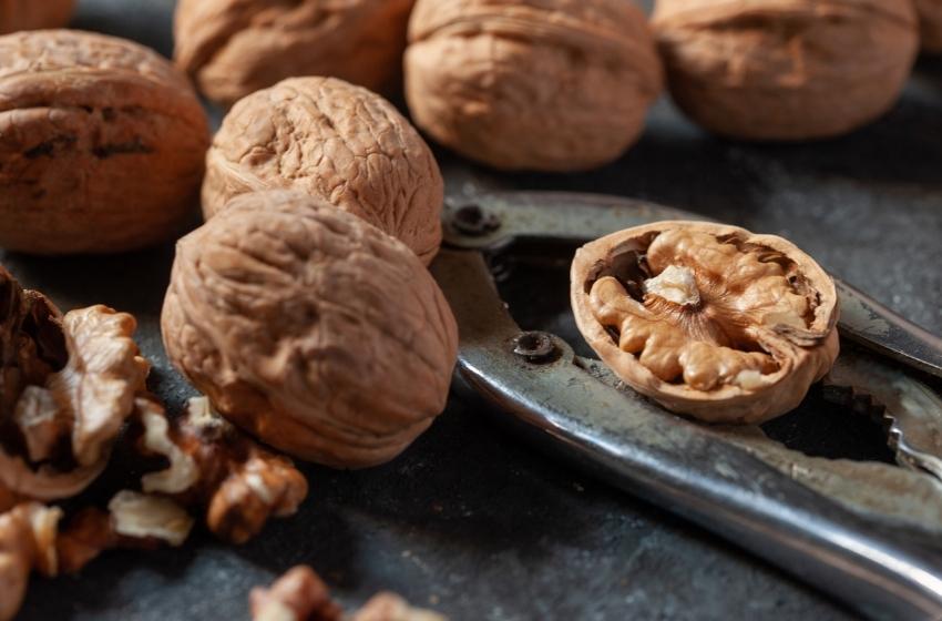 First time in Ukraine: industrial harvesting of walnuts began in the Odessa region