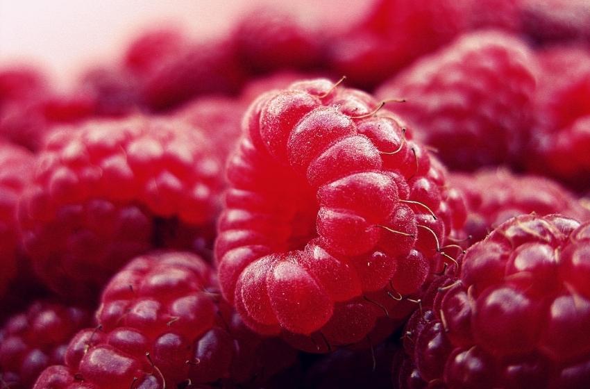Raspberry boom: Ukraine entered the TOP-5 world exporters of berries