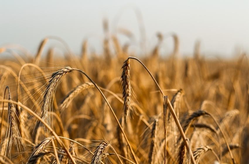 Ukraine and Poland have signed a joint statement on the export of Ukrainian grain