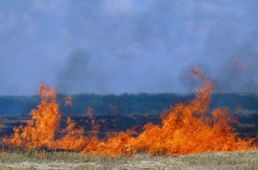 Yermak: Russians shell Ukrainian fields with incendiary shells