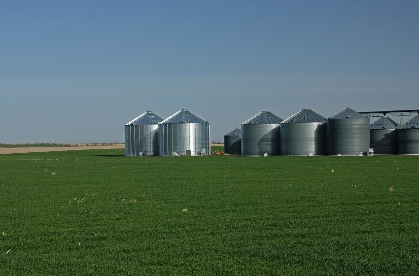 Poland needs 4 months to build silos for Ukrainian grain