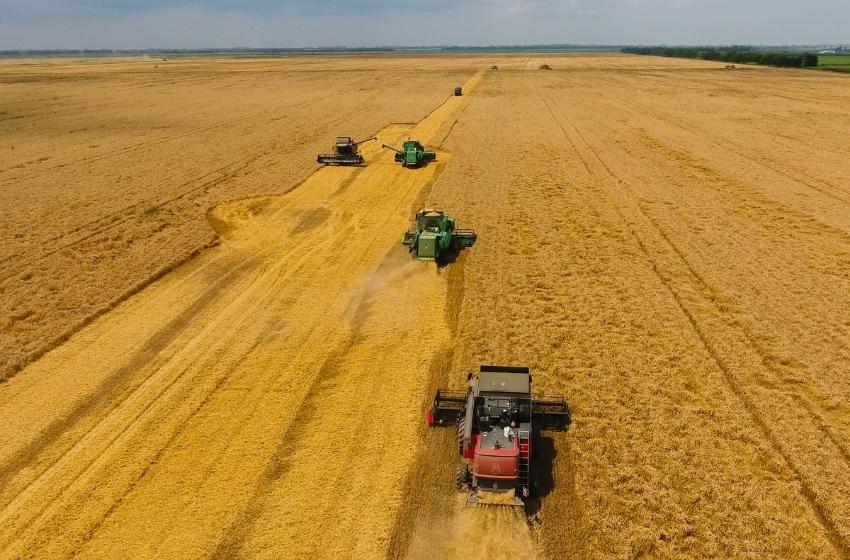 The first million tons of grain were harvested in Odessa