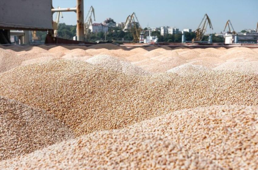 Oleg Kiper: Only "white" companies will be allowed to load grain at the ports of the Odessa region
