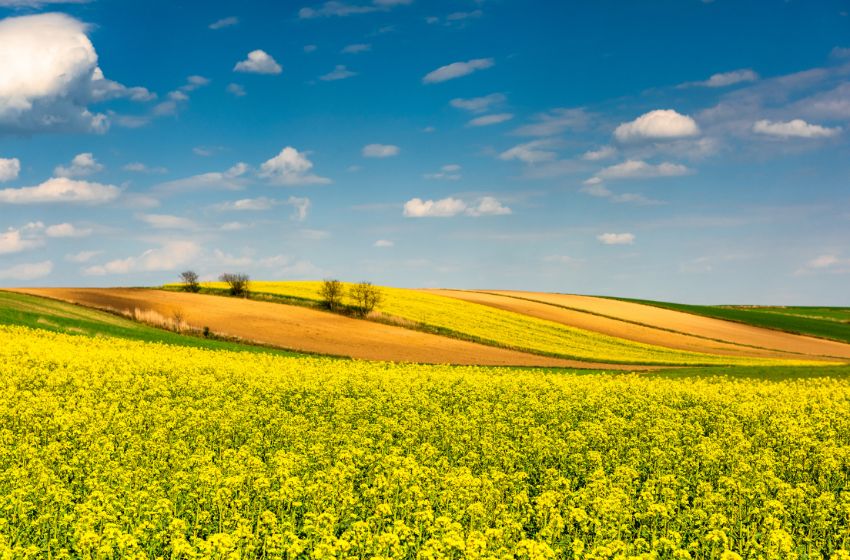 Ukraine has risen to the top 3 suppliers of agricultural products to the EU