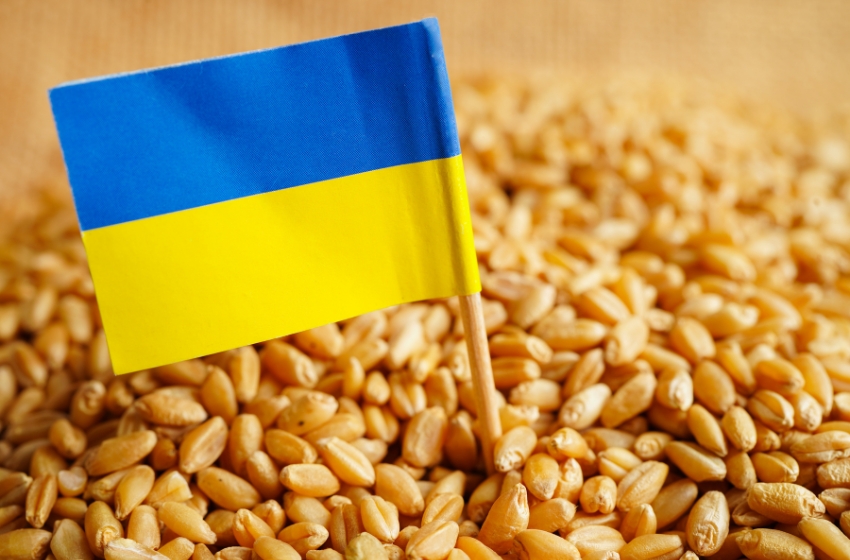 Poland will block the export of Ukrainian grain if the European Commission does not extend the embargo