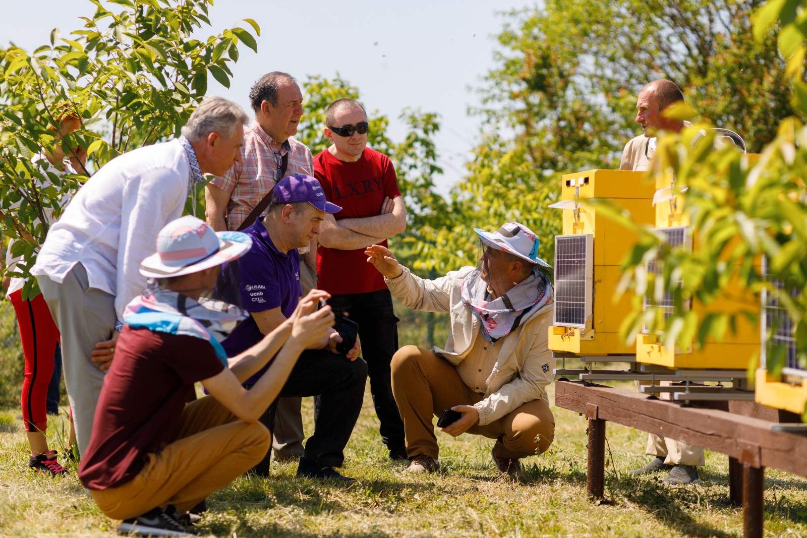 Ukrainian smart beehives will be installed in research apiaries in two continents